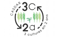 Logo 3C2A