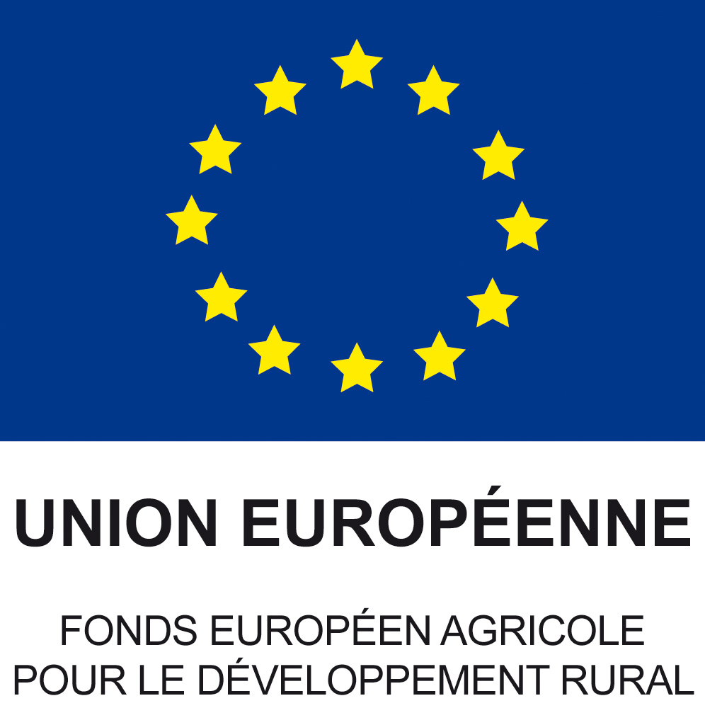 UNION EUROPEENNE - Fond Européen de Développement Régional